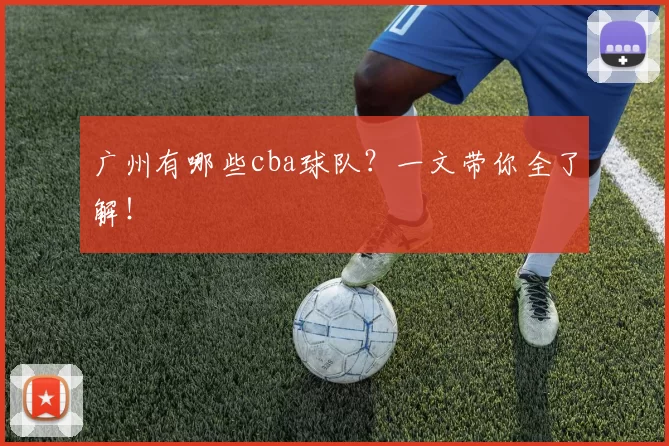 广州有哪些cba球队？一文带你全了解！
